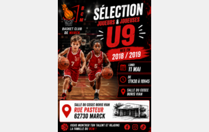 6a01de3b20f16_selectionu9.png